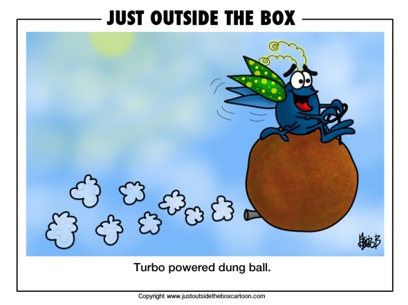 Doug dung beetle takes to the air